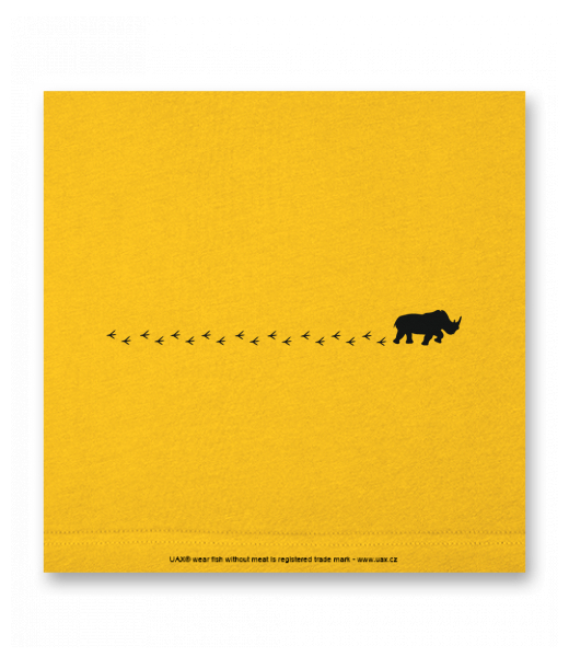 OBRAZ DO INTERIÉRU 110x110cm