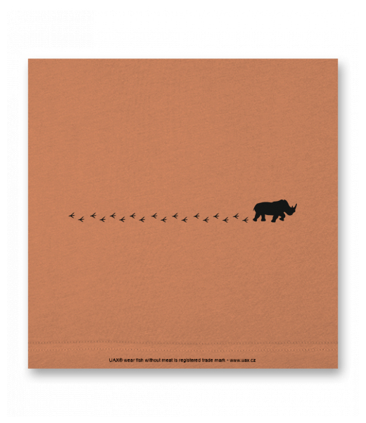 OBRAZ DO INTERIÉRU 110x110cm