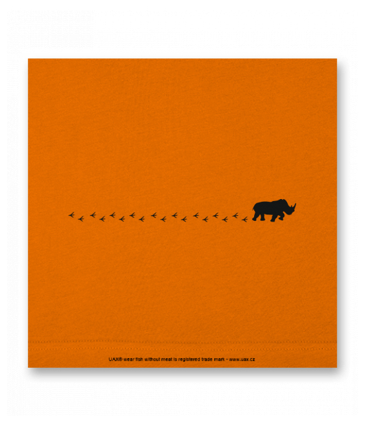 OBRAZ DO INTERIÉRU 110x110cm