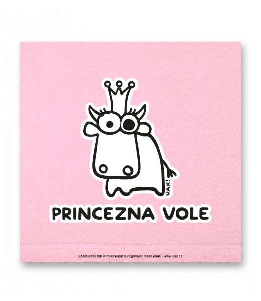 OBRAZ DO INTERIÉRU 110x110cm