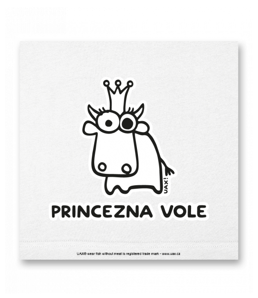 OBRAZ DO INTERIÉRU 110x110cm