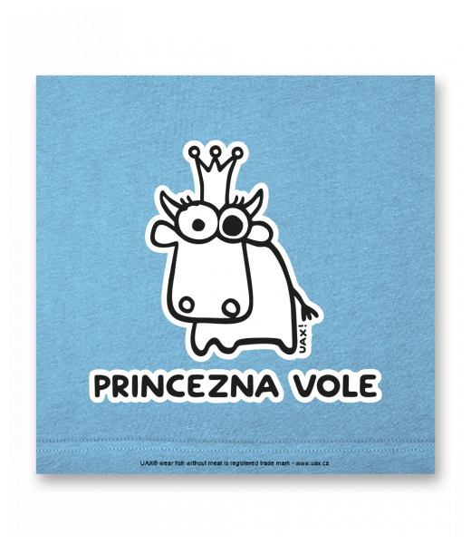 OBRAZ DO INTERIÉRU 110x110cm