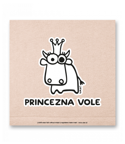 OBRAZ DO INTERIÉRU 110x110cm