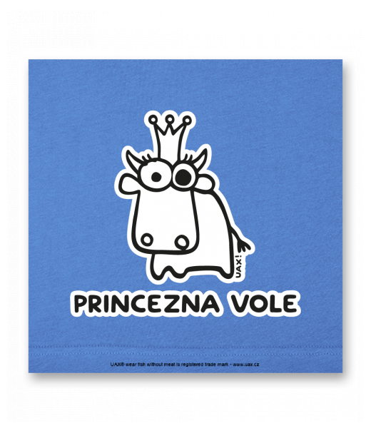 OBRAZ DO INTERIÉRU 110x110cm