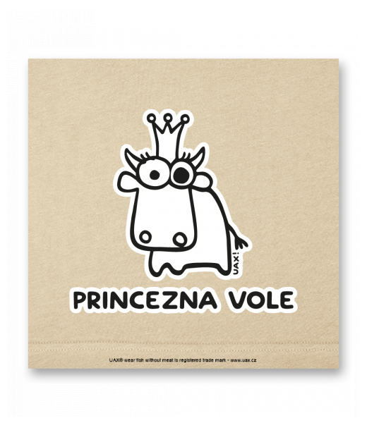 OBRAZ DO INTERIÉRU 110x110cm