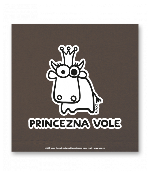 OBRAZ DO INTERIÉRU 110x110cm