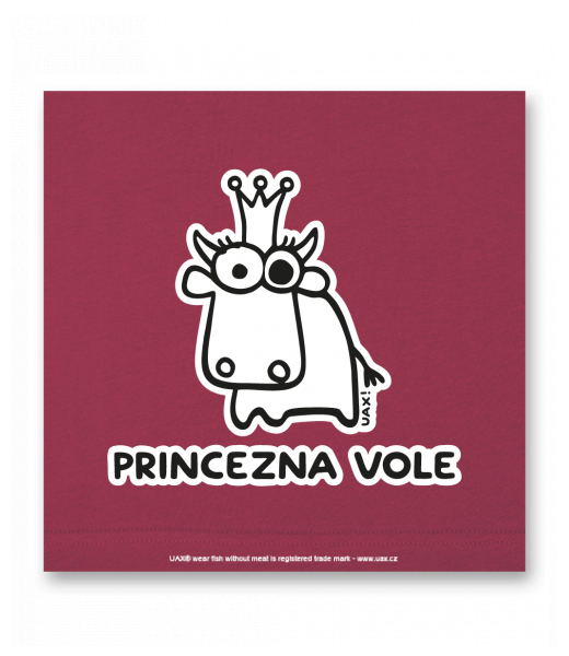 OBRAZ DO INTERIÉRU 110x110cm