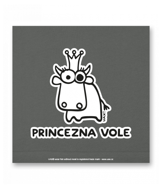 OBRAZ DO INTERIÉRU 110x110cm