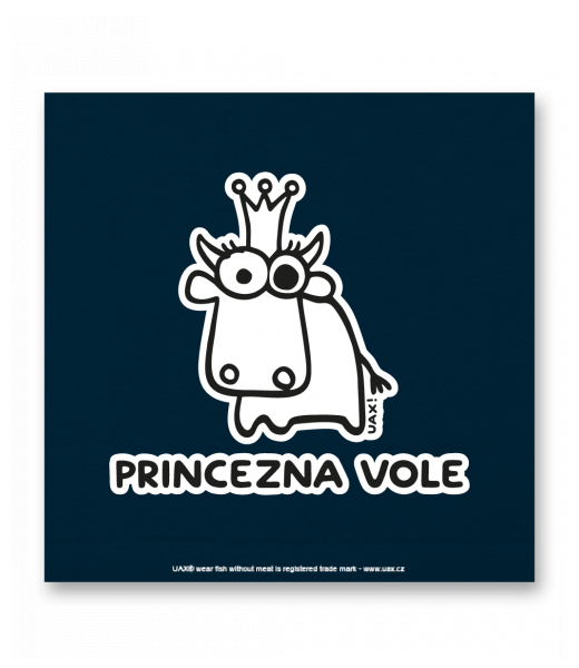 OBRAZ DO INTERIÉRU 110x110cm