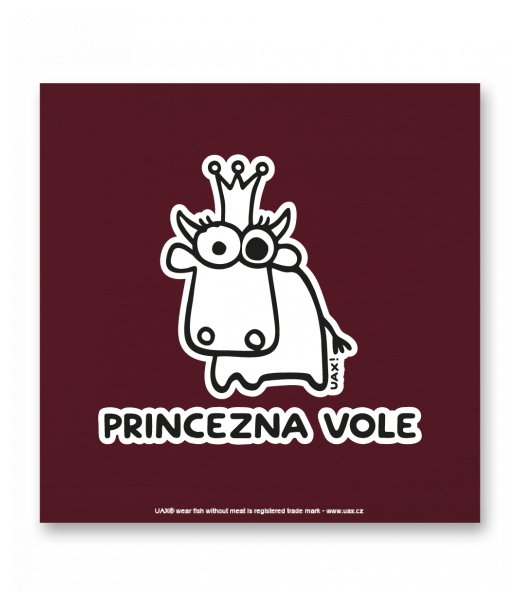 OBRAZ DO INTERIÉRU 110x110cm