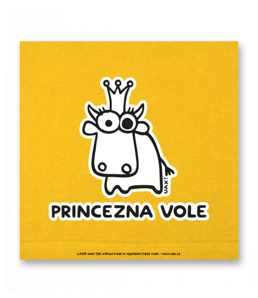 OBRAZ DO INTERIÉRU 110x110cm