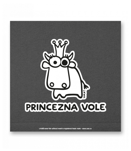 OBRAZ DO INTERIÉRU 110x110cm