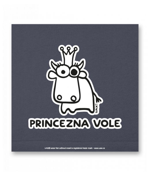 OBRAZ DO INTERIÉRU 110x110cm