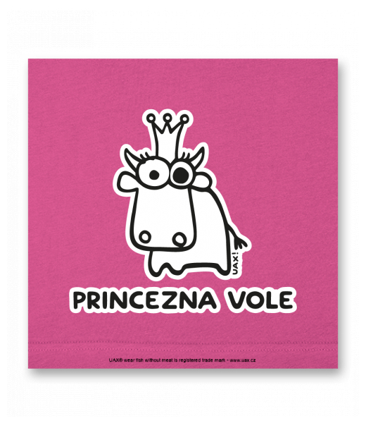 OBRAZ DO INTERIÉRU 110x110cm