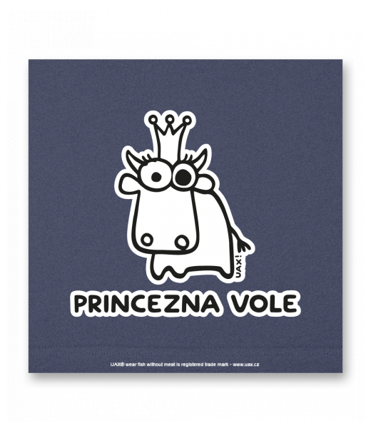 OBRAZ DO INTERIÉRU 110x110cm