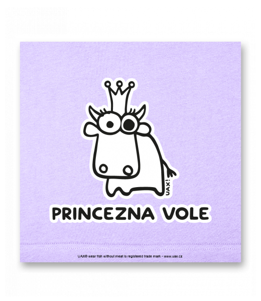 OBRAZ DO INTERIÉRU 110x110cm