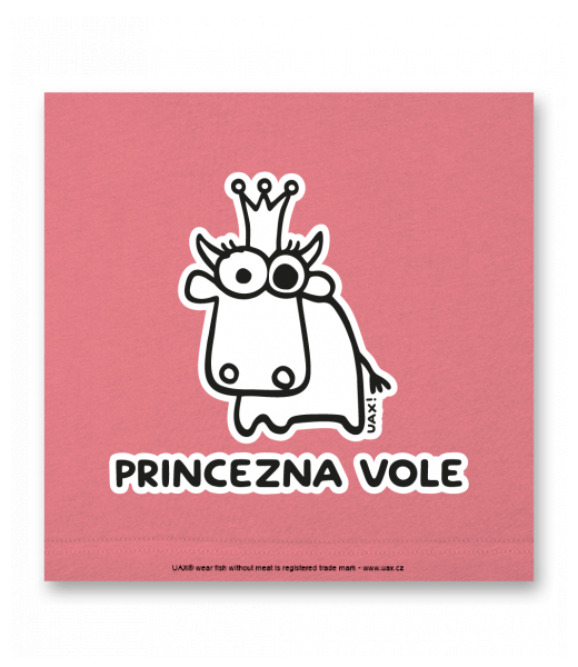 OBRAZ DO INTERIÉRU 110x110cm