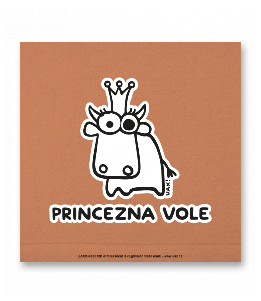 OBRAZ DO INTERIÉRU 110x110cm