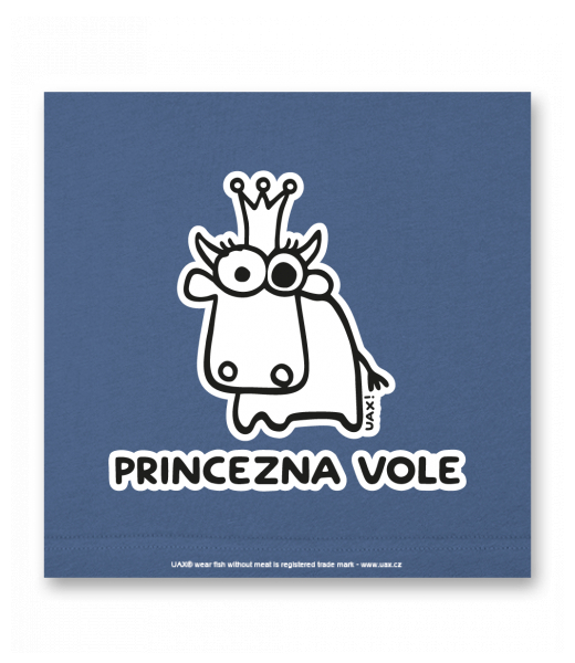 OBRAZ DO INTERIÉRU 110x110cm