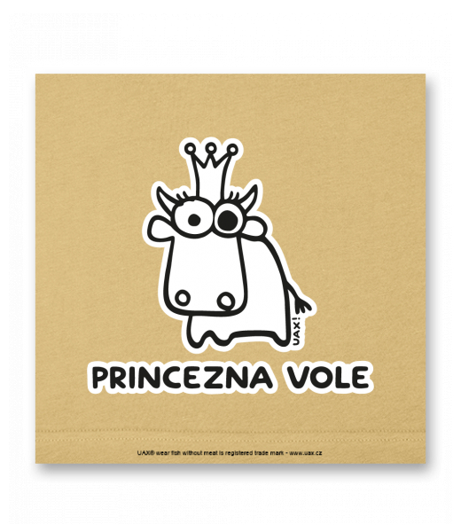 OBRAZ DO INTERIÉRU 110x110cm