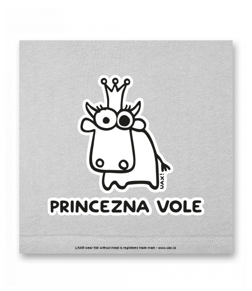 OBRAZ DO INTERIÉRU 110x110cm