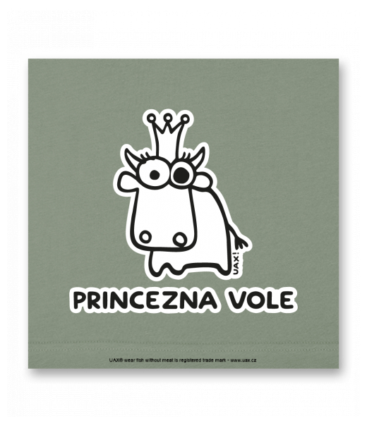 OBRAZ DO INTERIÉRU 110x110cm