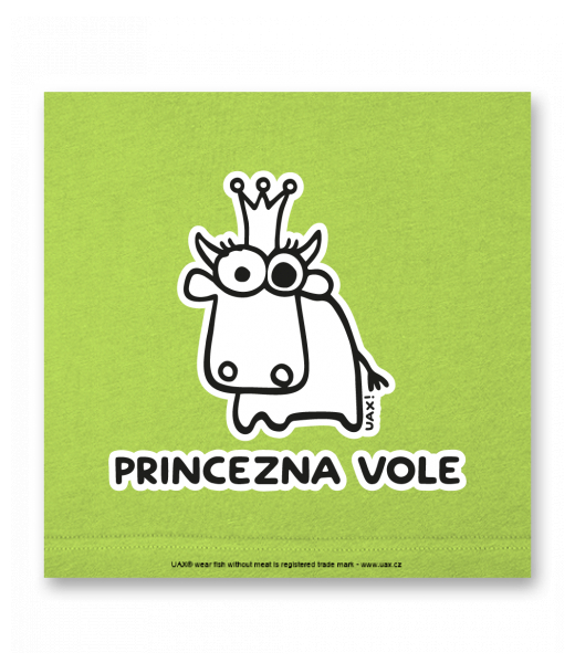 OBRAZ DO INTERIÉRU 110x110cm