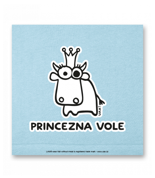 OBRAZ DO INTERIÉRU 110x110cm