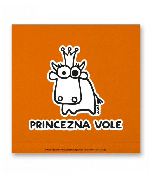 OBRAZ DO INTERIÉRU 110x110cm