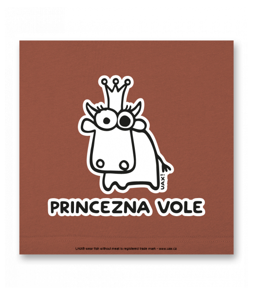 OBRAZ DO INTERIÉRU 110x110cm