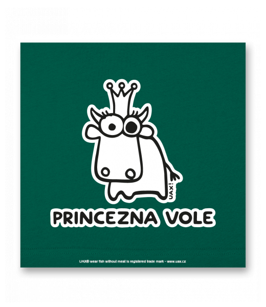 OBRAZ DO INTERIÉRU 110x110cm