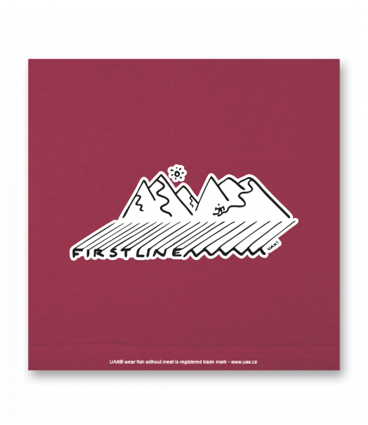 OBRAZ DO INTERIÉRU 110x110cm