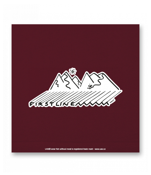 OBRAZ DO INTERIÉRU 110x110cm