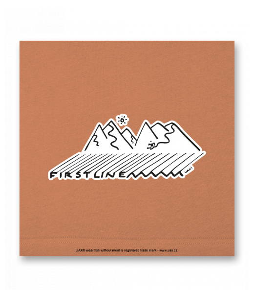 OBRAZ DO INTERIÉRU 110x110cm