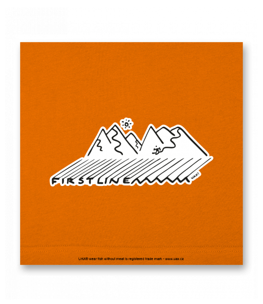 OBRAZ DO INTERIÉRU 110x110cm