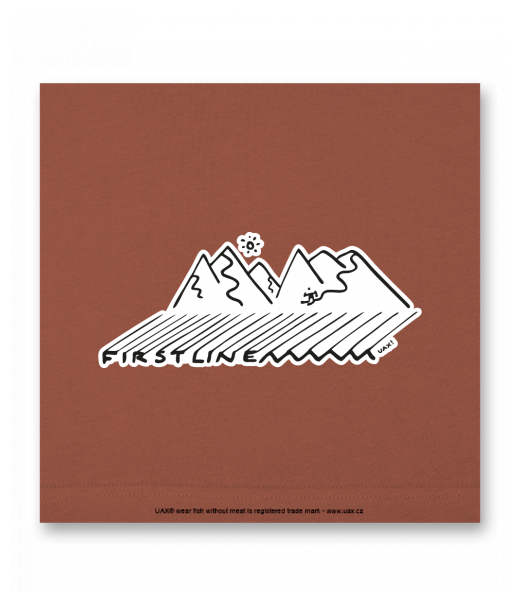 OBRAZ DO INTERIÉRU 110x110cm