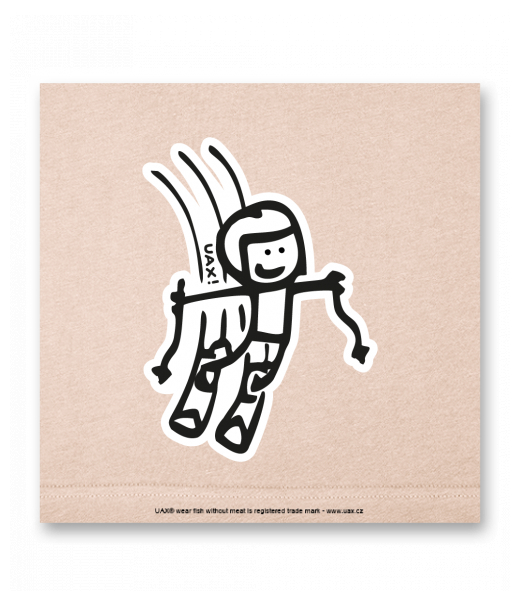 OBRAZ DO INTERIÉRU 110x110cm