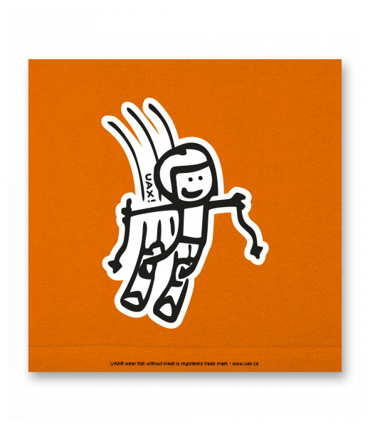 OBRAZ DO INTERIÉRU 110x110cm