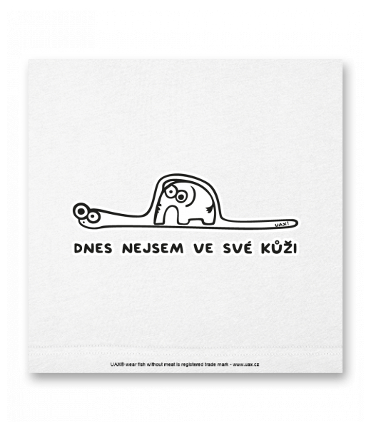 OBRAZ DO INTERIÉRU 110x110cm