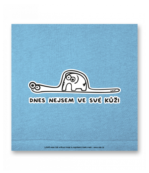 OBRAZ DO INTERIÉRU 110x110cm