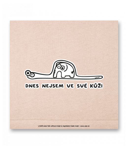 OBRAZ DO INTERIÉRU 110x110cm