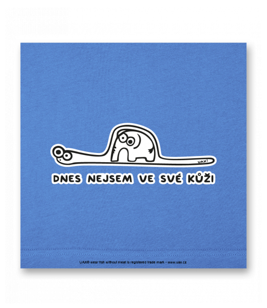 OBRAZ DO INTERIÉRU 110x110cm