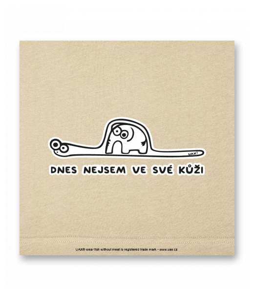 OBRAZ DO INTERIÉRU 110x110cm