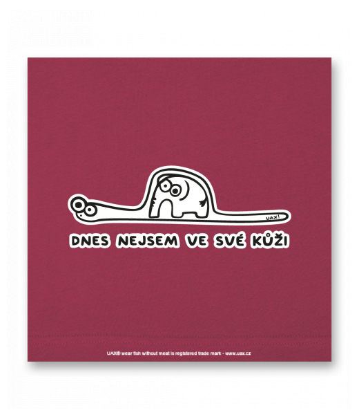 OBRAZ DO INTERIÉRU 110x110cm