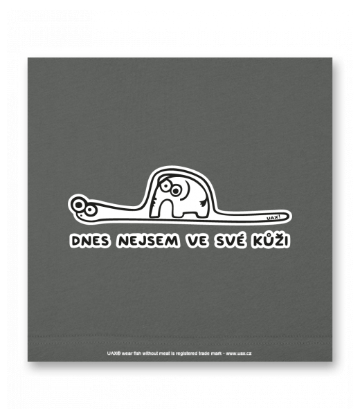 OBRAZ DO INTERIÉRU 110x110cm