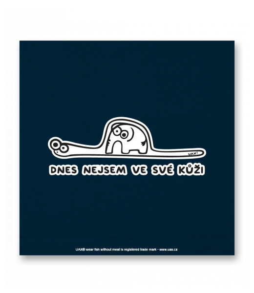 OBRAZ DO INTERIÉRU 110x110cm