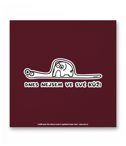 OBRAZ DO INTERIÉRU 110x110cm