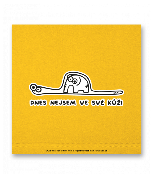 OBRAZ DO INTERIÉRU 110x110cm