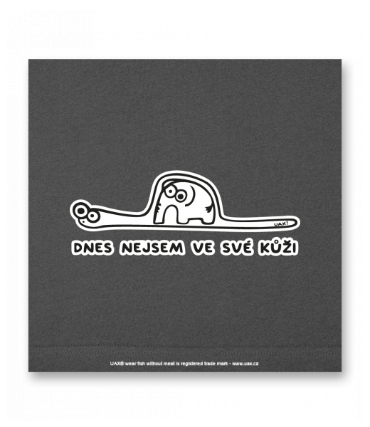 OBRAZ DO INTERIÉRU 110x110cm