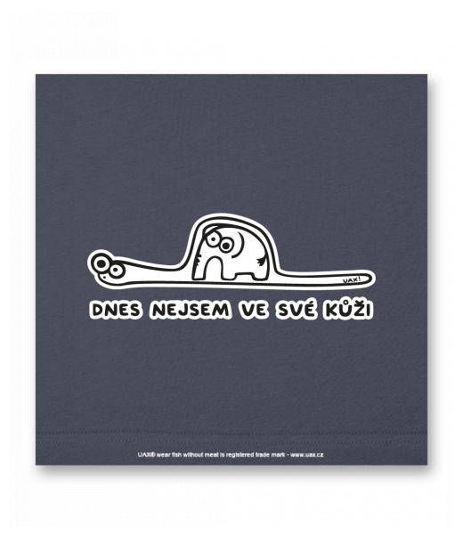 OBRAZ DO INTERIÉRU 110x110cm